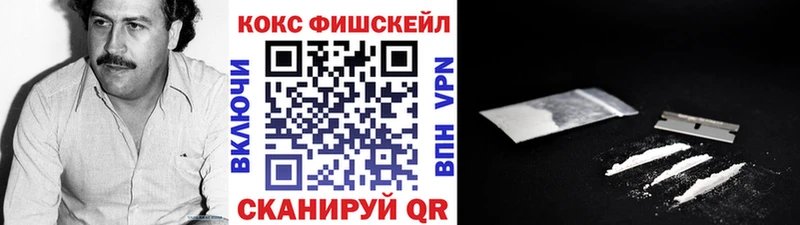 Купить закладки  Вязники  КОКАИН Эквадор 