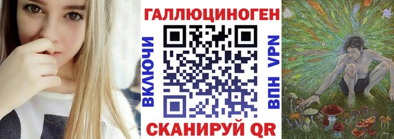 Галлюциногенные грибы Psilocybe  Купить закладки  Вязники 